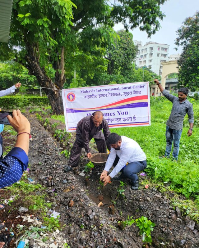 27c62e1a-6eb8-4cff-ab23-5f6c7805c1ff