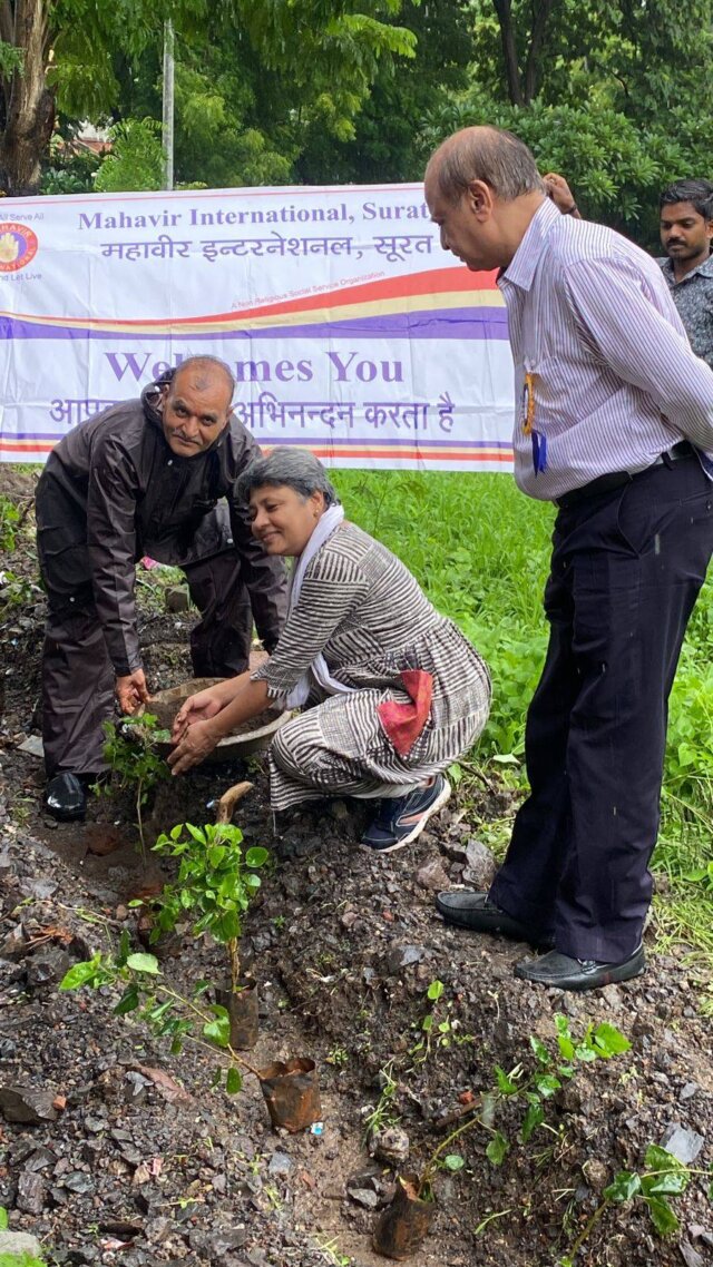 781e97c5-585a-4d33-a0e9-ec569be34fcc